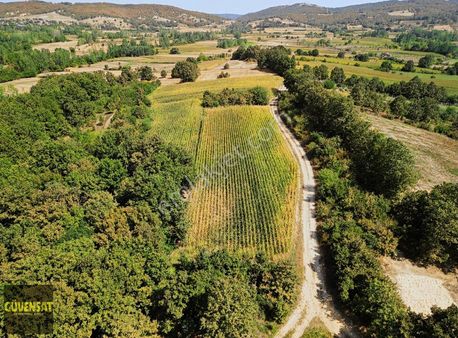 Gözde Köy Armağanda İmar Alınabilir Köye Yakın Arsa (kelepir)