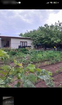 Ertex Gayrimenkul Den Kozagaç Parkı İlerisi 910 M2 Arsa