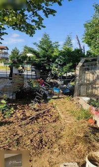 Ertex Gayrimenkul Den Kozağaç Parkı Yanı 1000 M2 Villa Arsası