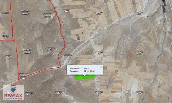 Pınarbaşı Şerefiyede Yola Yakın Satılık Tarla