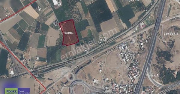 İzmir Menemen De 28 Dönüm Mandalina Bahçesi İmara Çok Yakın