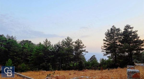 Kuyucak Mah Yol Cepheli Satılık Tarla