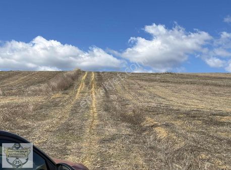 Karayakuplu 742 Mk Satılıktır