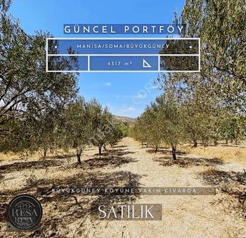 Resa Gayrimenkulden Büyükgüney'de Satılık Tarla