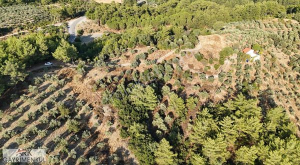 Yeniköy'de Satılık Asfalta Ve İmara Yakın Kupon 1.967m2 Tarla !