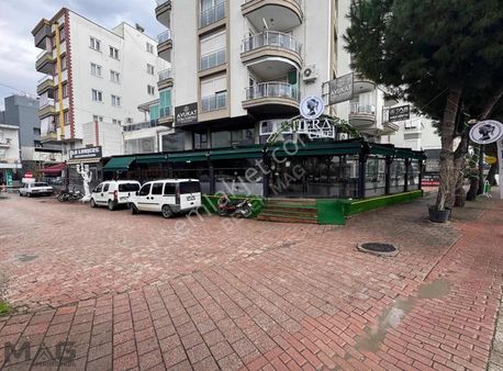 İşlek Cadde Üzerinde Cirosu Yüksek Devren Kiralık Cafe