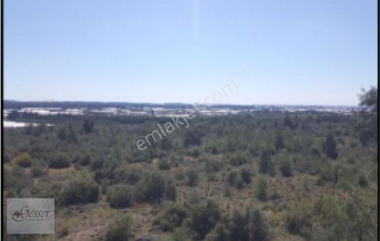 Antalya Topallı'da Villa İmarlı Satılık Arsa