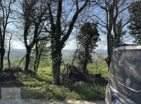 Asfalt Yola Cephe Elektrik Su Başında Havadar Emsalsiz