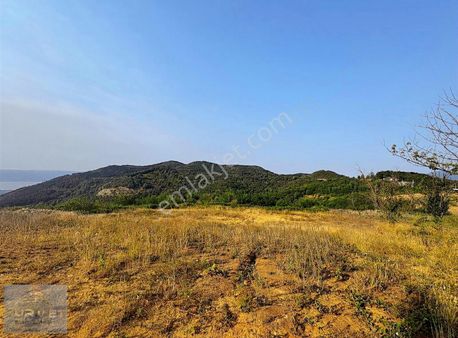 Kocaeli Başiskele'de Satılık Arsa