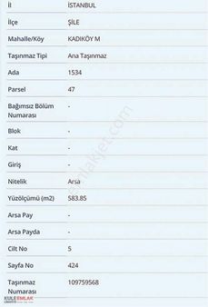 Şile Ağva Kadıköy' De Yol Ve Köy Girişinde Arsa
