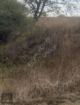 Umut Group Tan Satılık Hisseli Tarla