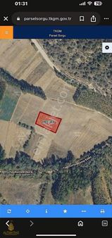 Kütahya Gediz Yağmurlarda Şekli Düzgün Satılık Tarla