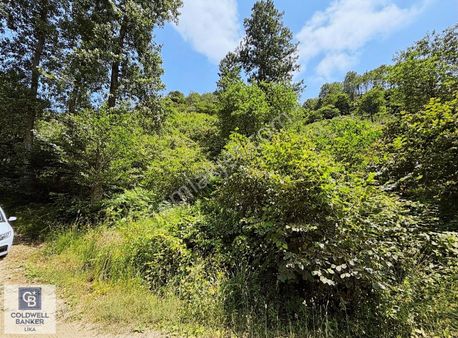 Arsin Dilek Mah. Merkeze 6 Km Mesafede Satılık Arsa