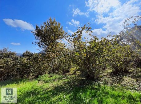 Cb Lika'dan Yeşilyurt'da Satılık Arsa