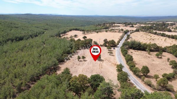 Çanakkale Merkez, Salihler Köyü'nde Asfalta Cepheli 6.220 M2