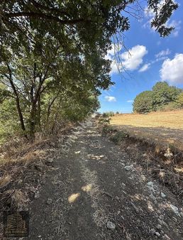 Çanakkale Biga Kozçeşme Köyü'nde 3.600 M2 Satılık Tarla