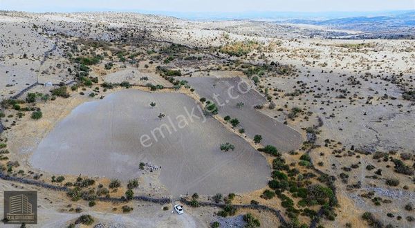 Çanakkale Ezine Karadağ Köyü'de 43.000 M2 Satılık Arazi