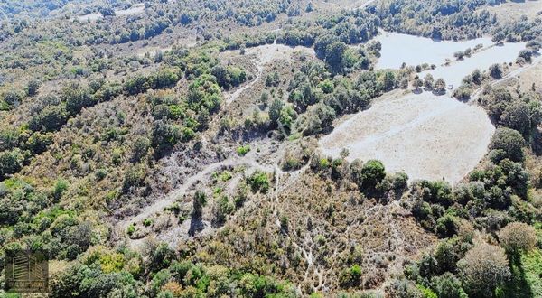Çanakkale Lapseki Güreci Köyü'nde 12.016 M2 Satılık Arazi