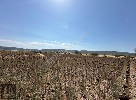 Çanakkale Eceabat Beşyol'da 5.065 M2 Uygun Fiyatlı Satılık Tarla