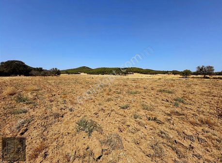 Yatırımlık Tarla!! Çanakkale Eceabat Beşyol'da Satılık 3.993 M2