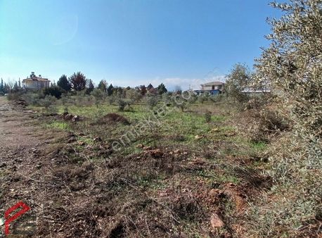 Döşemealtı Çıplaklı 434 M2 Satılık Villa Arsası (no: 610)