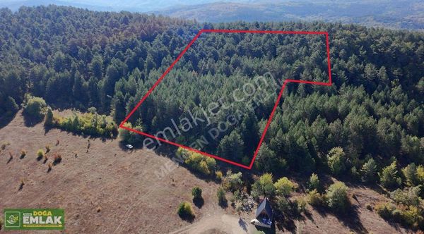 Mengen'in En Yeni Mahallesi Sazlar'da Satılık Orman Yanı Tarla