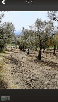 Necip Emlaktan Satılık Anayola Cephe Bahçe