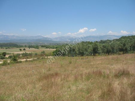 Sarılar Mahallesinde 514m2 Satılık Arsa 10000000tl