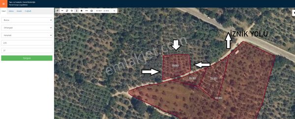 Bursa İznik Yolu Keramet Köyü Resmi Yollu Zeytinlik