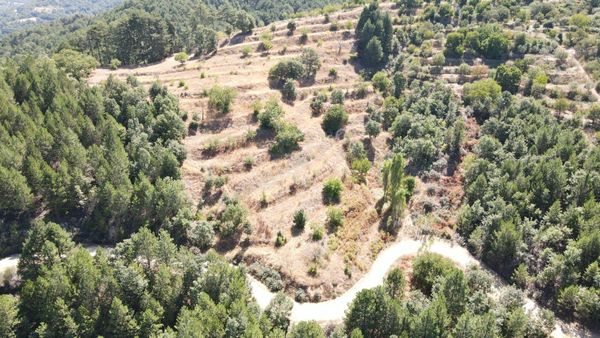 Kuyucak Taşoluk Mahallesinde Satılık Bahçe Elma Ve Kestanelik