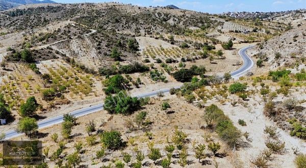 Söğüt Küre Köyünde 1.287 M² Asfalta Cepheli Kiraz Bahçesi