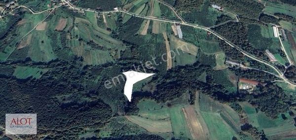 Kandıra Teksen Satılık Tarla