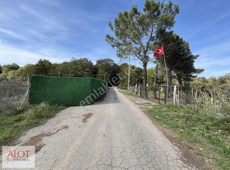 Şile Çelebi De Satılık 5653m2 Tarla