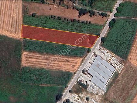 Bursa Karacabey İkizce De Teknosaba Yakın Konumda Satılık Tarla