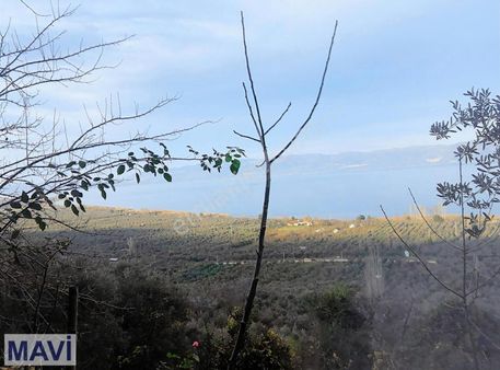 İznik Gölü Kenarında 400 Mt2 Satılık Göl Manzaralı Arazi
