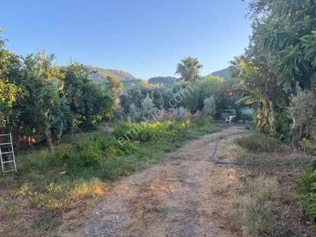 Muğla, Ortaca, Okçularda Konumu İyi 650 M2 Konut İmarlı Arsa Satılık