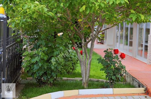 Asm'den Merkezi Konumda Siteiçi Kiralık 1+1 Daire