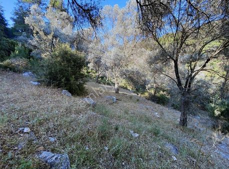 Bodrum Kızılağaç'ta Satılık 1750 M² Müstakil Tarla