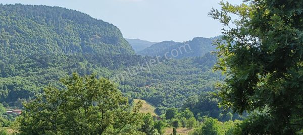 Fevziye Mahallesinde Yatırımlık Acil Satılık Kadastro Yola Cephe İmara 25 Metre Mesafede Tarla