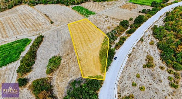 Nilüfer Çaylı'da Satılık Tarla