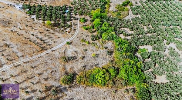 Yalıçiftlik'te Satılık Tarla