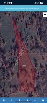 Mys İnşaat Emlak’tan Bilecik Sögüt Satılık Tarla