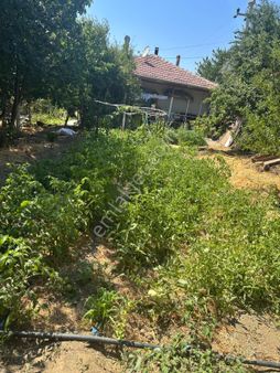 Yzg Den Kavacıkta Satılık Bahçeli Müstakil Ev