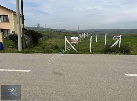 Caddeye Cepheli Elektrik Su Var Şile Ağva İzmit Güzergahında