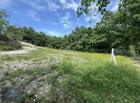 2b Kayıtlı Doğa Harikası Tarla Vasıflı Şile Ağva İzmit Arasında