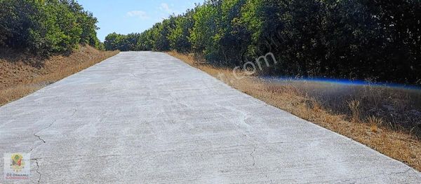 Köy Yoluna Cephe 1.500 M2 Hobi Bahçesine Ve Yatırıma Uygun Arazi