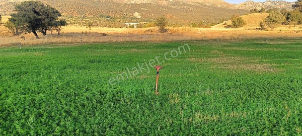 ✅muğla Seydikemer✅doğanlarda ✅satılık 3.112m2 Tarla✅sulama Suyu Var