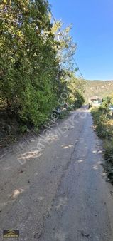 Kestel Saitabatta 429 M2 İmarlı Arsa Masrafsız