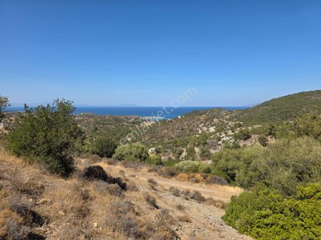 Yeni Foça Sazlıca Köşe Müstakil Parsel İmarlı Satılık Arsa