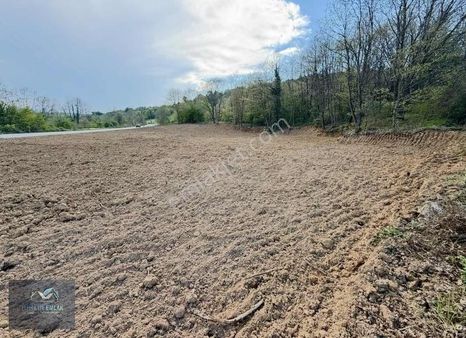 Ana Caddeye 62 Metre Cepheli Şile Ağva İzmit Güzergahında